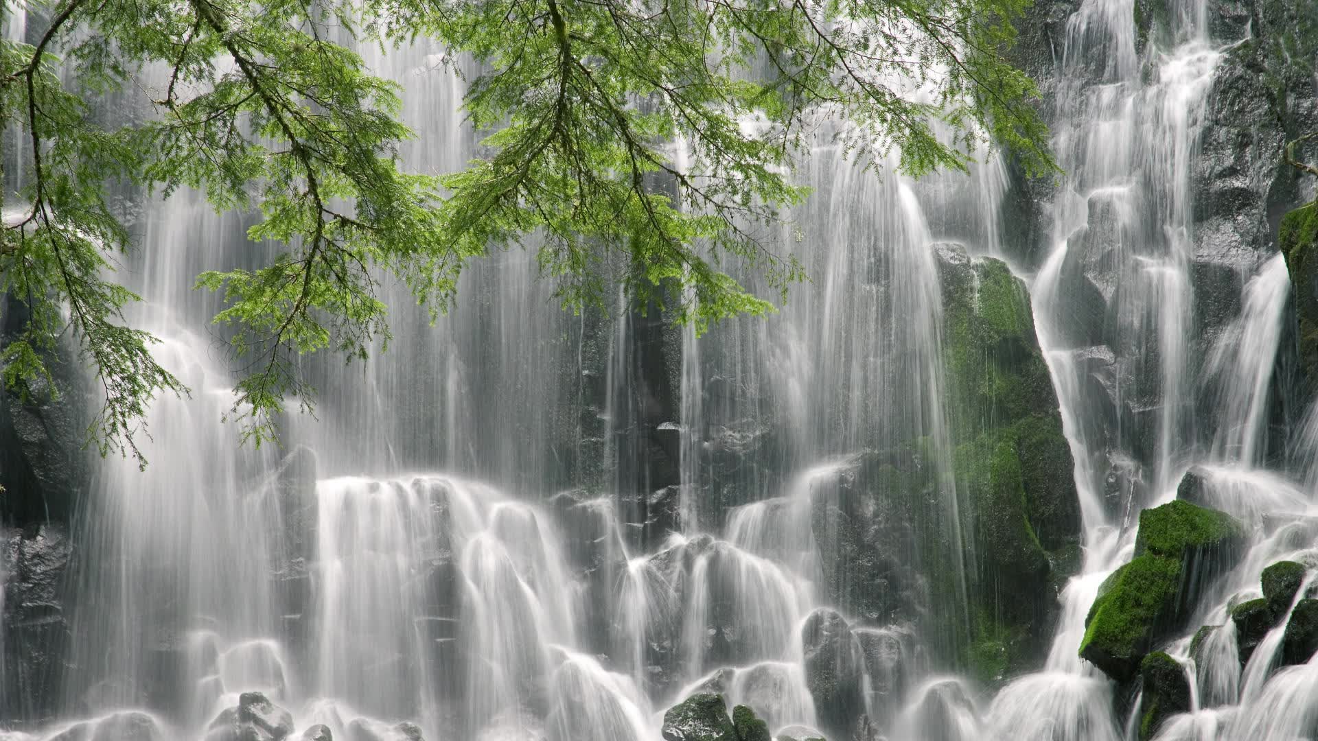 世界乒坛战术研讨会：技术细节共享促进水平提升，世界乒乓球联盟理事会