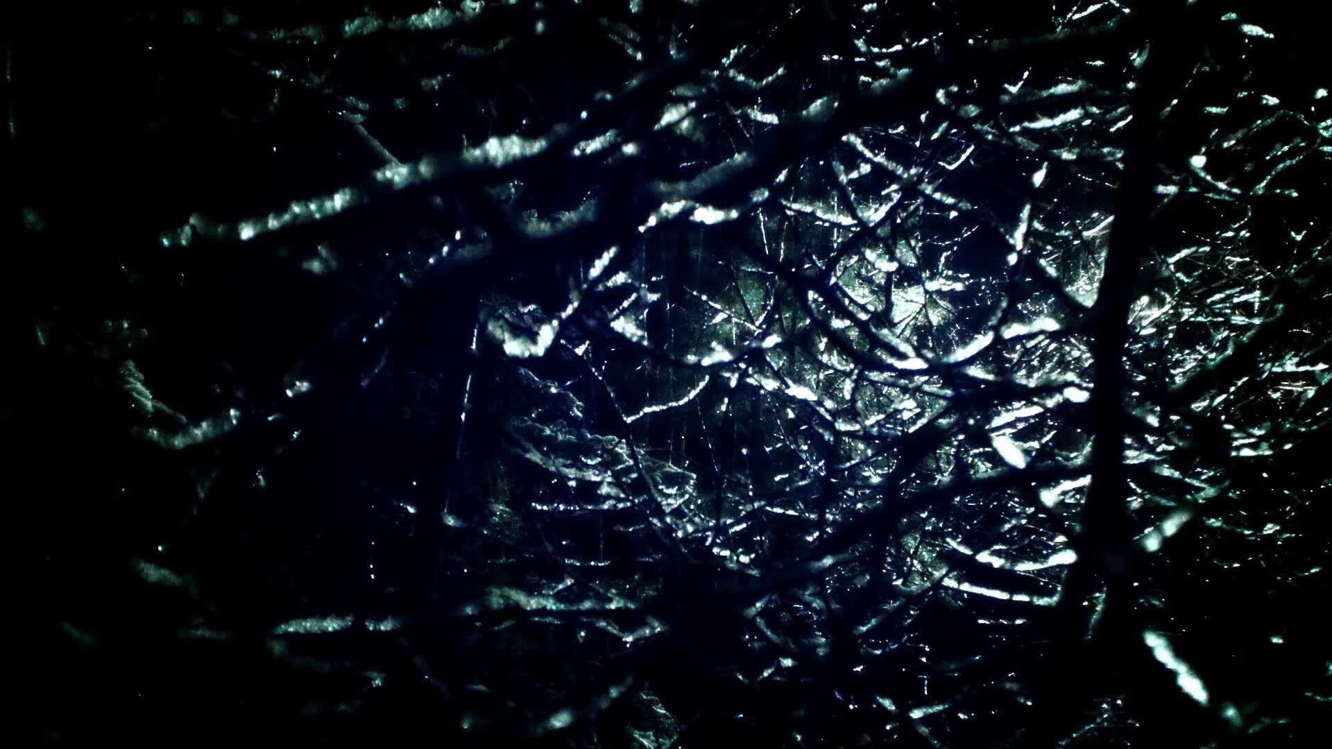 世界体操公开赛:创新动作合规性成讨论焦点,世界体操视频